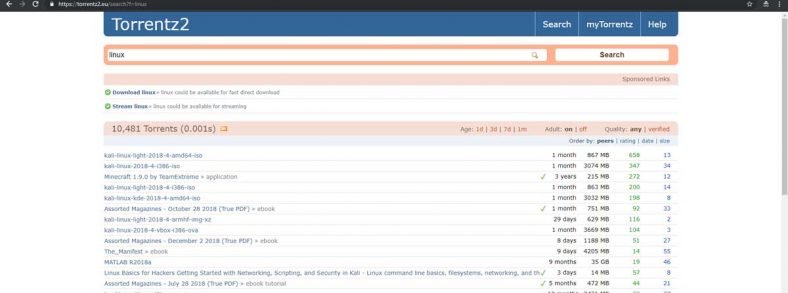 Torrentz2 e Torrentz: Tutto quello che devi sapere [GUIDA 2022]