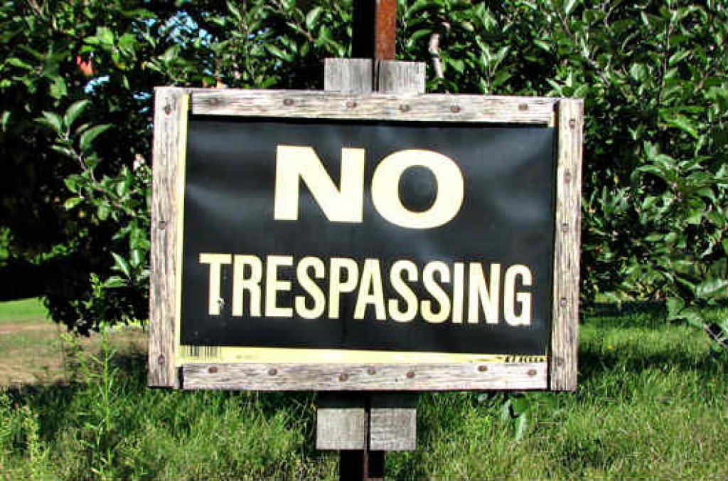 formula-2-diretta-streaming