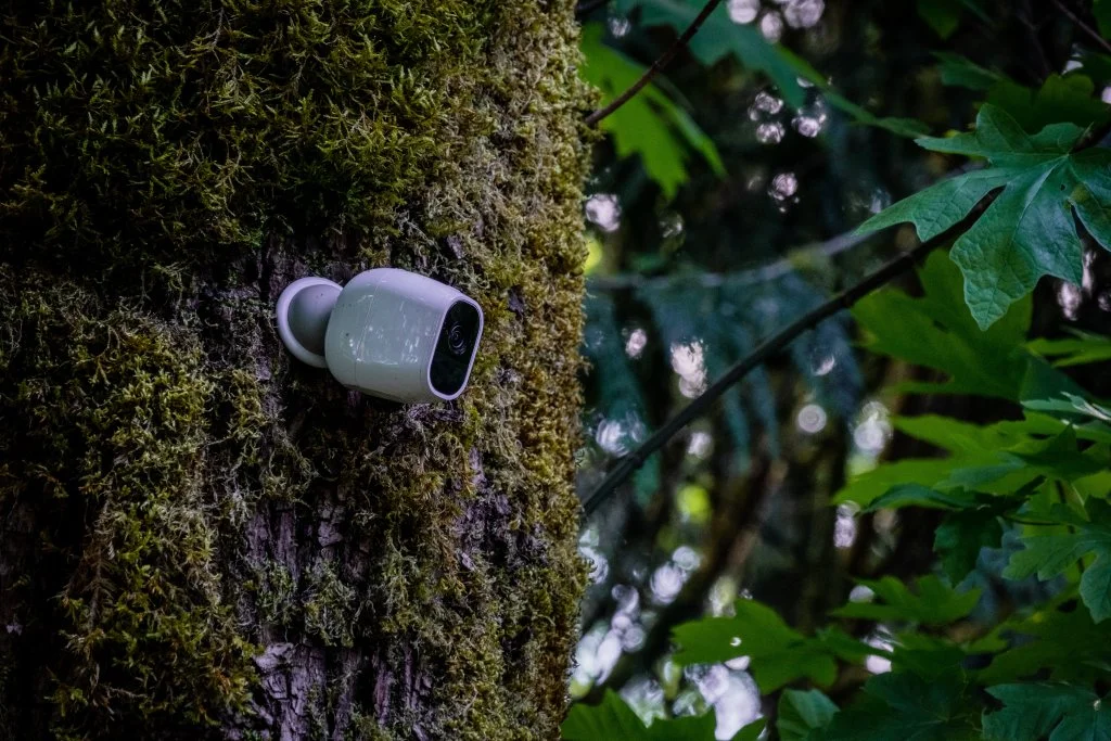 migliori-telecamere-netgear-arlo