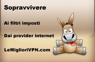 Rimuovere i filtri P2P e Torrent usati dai provider tramite la VPN e il cambio dei DNS